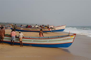 Fishing fleet, Chowara Beach,_DSC_9630_H600